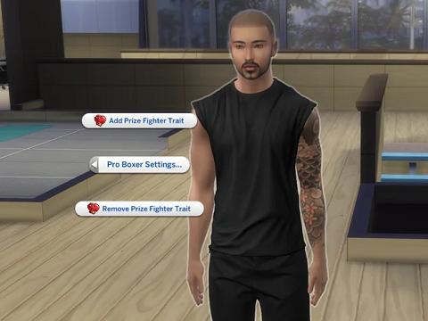 PROFESSIONAL BOXER CAREER V3 - DOWNLOAD