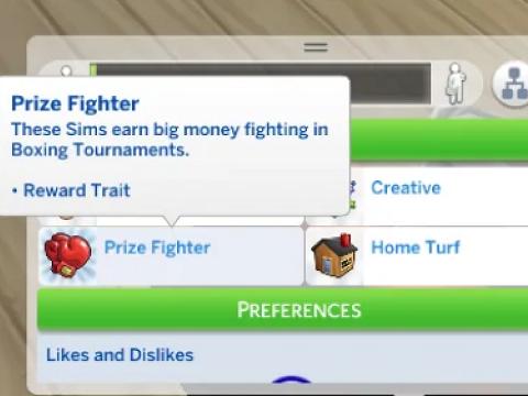 PROFESSIONAL BOXER CAREER V3 - DOWNLOAD