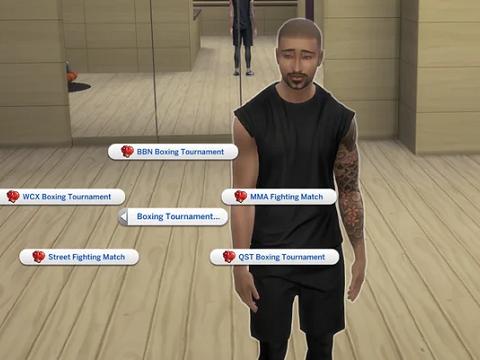 PROFESSIONAL BOXER CAREER V3 - DOWNLOAD