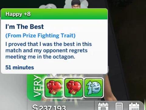 PROFESSIONAL BOXER CAREER V3 - DOWNLOAD