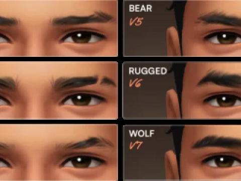 Eyebrow Set No11