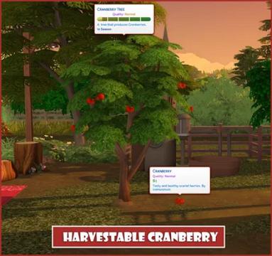 HARVESTABLE CRANBERRY