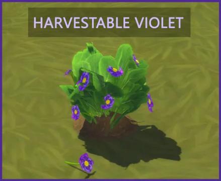 HARVESTABLE VIOLET