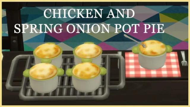 CHICKEN AND SPRING ONION  POT PIE