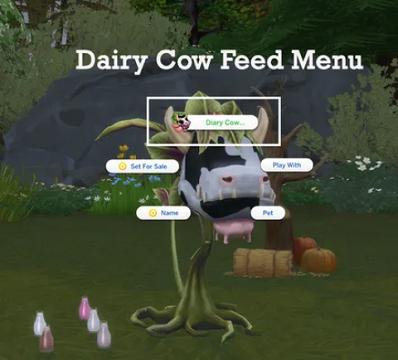 DAIRY COWPLANT
