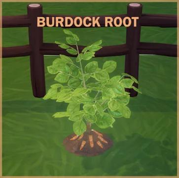 BURDOCK ROOT