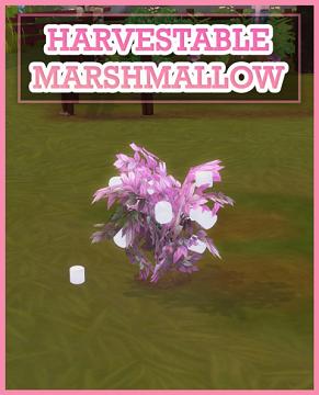 HARVESTABLE MARSHMALLOW