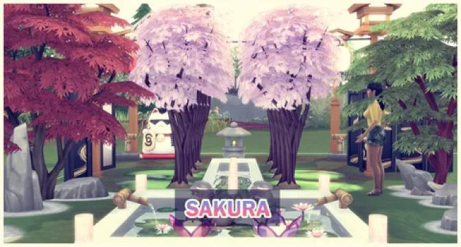 SAKURA - CHERRY BLOSSOM