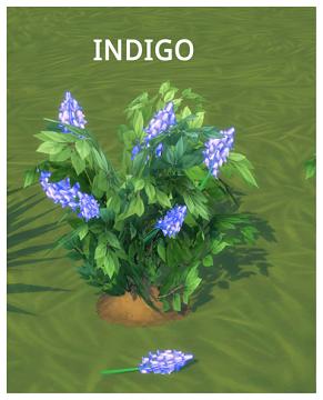 HARVESTABLE INDIGO