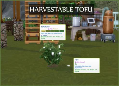 HARVESTABLE TOFU