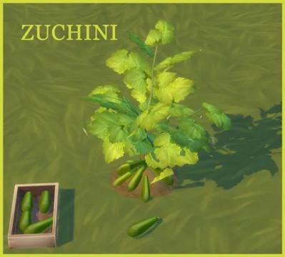 HARVESTABLE ZUCHINI