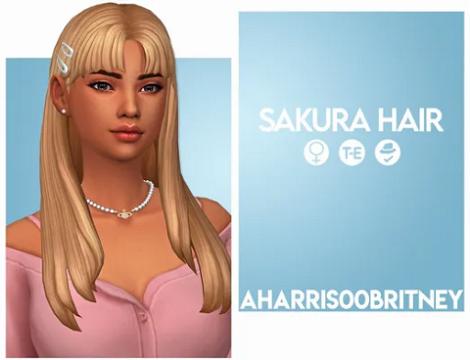 Sakura Hair