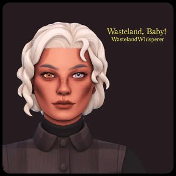 Wasteland, Baby! Skinblend