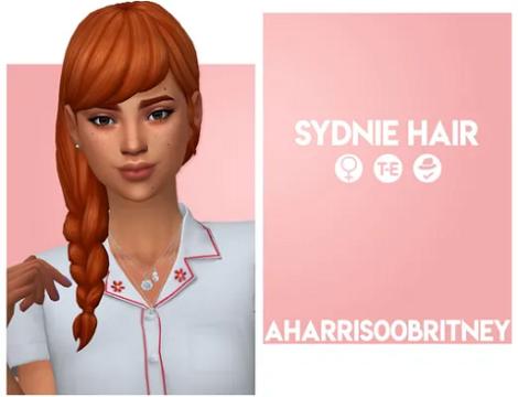 Sydnie Braids