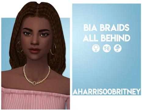 SavvySweet Bia Braids All Behind