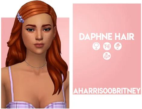 Daphne Hair