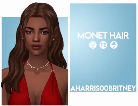Monet Hair