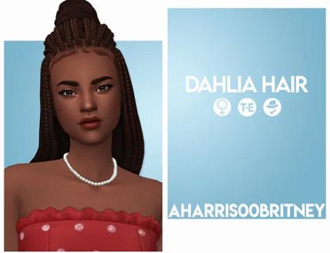 Dahlia Hair