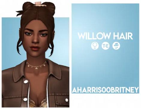 Willow Hair 