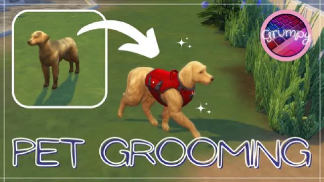 MOD SIMS 4 SPA CANIN & FÉLIN ! SIMS 4 PET GROOMING MOD !