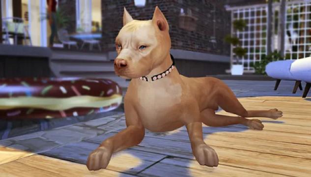 Pose Pack: Four-legged Life