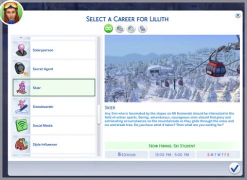 Skier Career