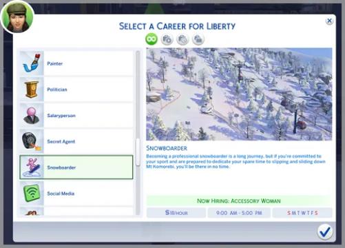 Snowboarder Career