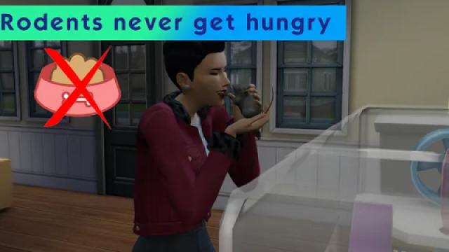 Rodents never get hungry!