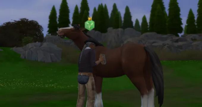 "Care for Animals" club activity includes Horse Ranch interactions