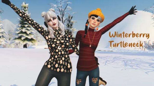 Winterberry Turtleneck ?