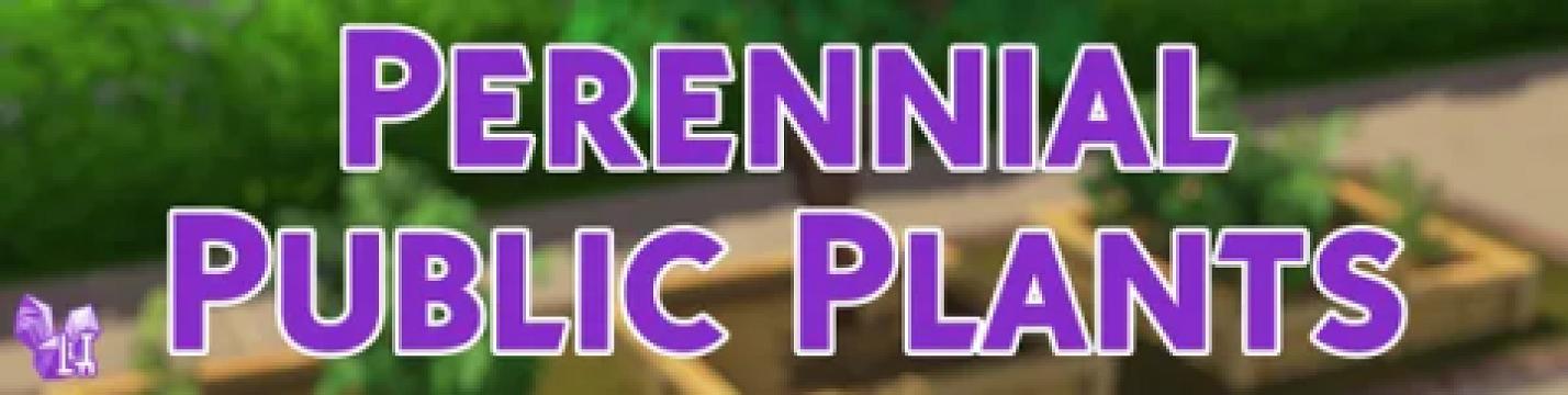 Perennial Public Plants