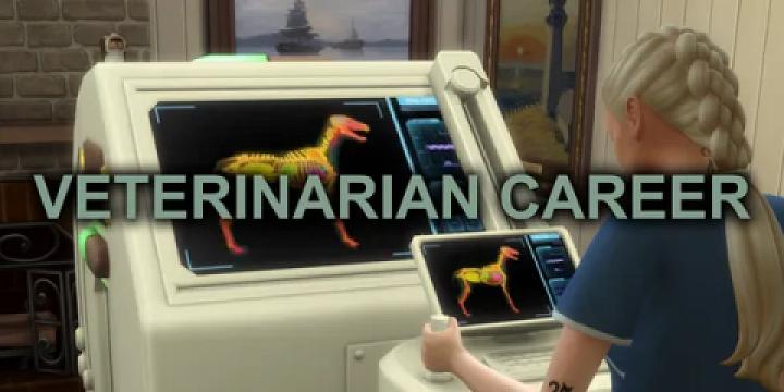 Veterinarian Career