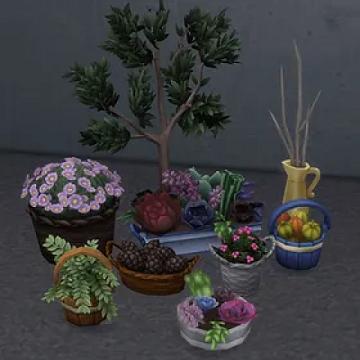 Laundry Day Plants