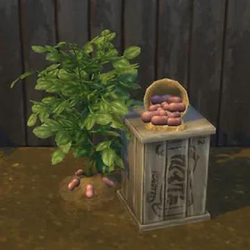 Red Potatoes