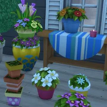 Backyard Stuff Separated