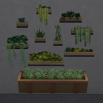 Walling in the Garden Plants