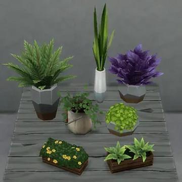 Eco Lifestyle Large Plants