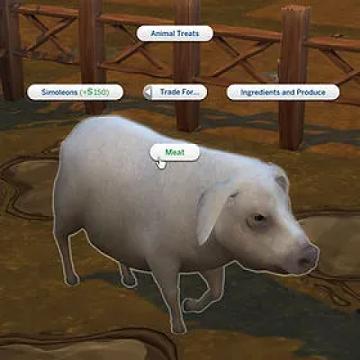 Pork from TheKalino's Wool Pig