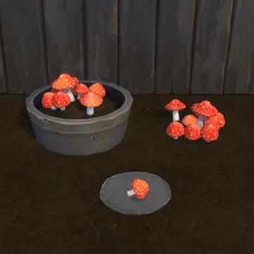 Amanita Mushroom