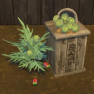 Artichoke