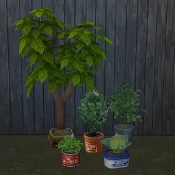 Werewolves Trash Planters