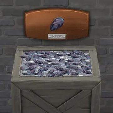 Mussels