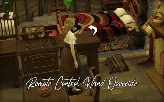 Remote Control Wand Override