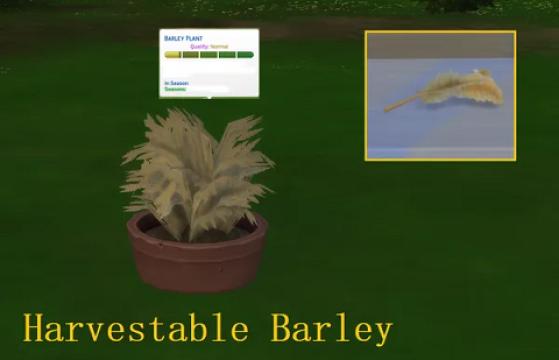 Fruit Harvestables (Bundle)