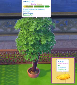 Custom Nuts Harvestables