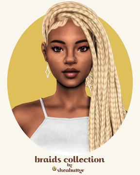 braids collection