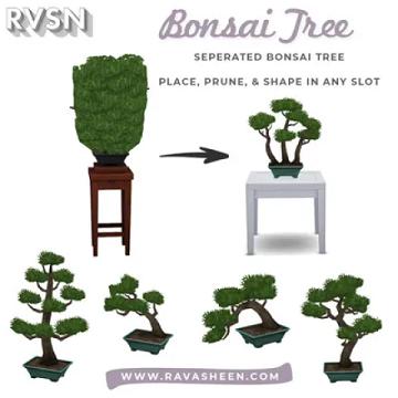 Bonsai Tree