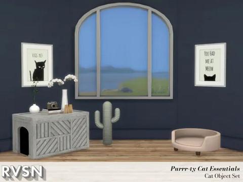 Purrr-fect Cat Essentials