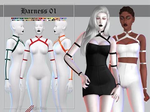 Harness 01