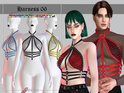 Harness 06